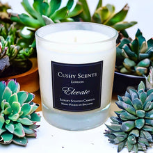 Load image into Gallery viewer, Lime &amp; Bergamot ‘Elevate’ Candle
